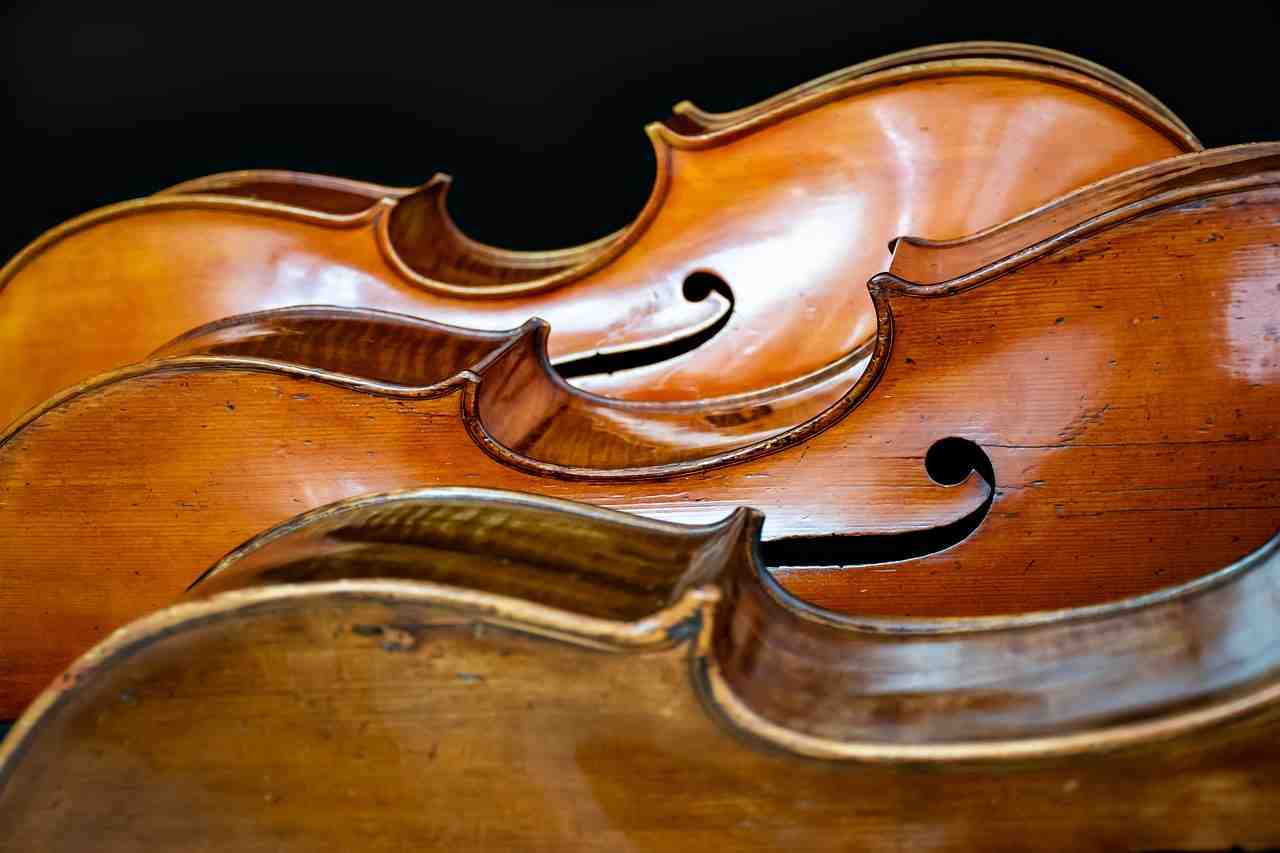 violoncelle, trio, le sens de la vie